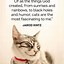 Image result for Cat Poems and Quotes