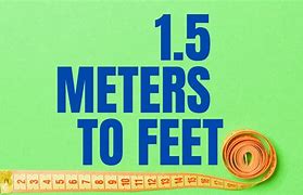 Image result for 1 Meter Feet