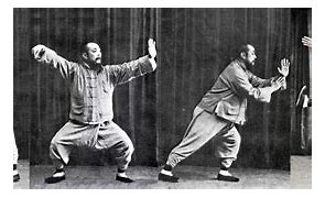 Image result for Wu Gong Yi Tai Chi
