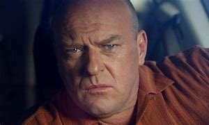 Image result for Dean Norris Better Call Saul