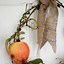 Image result for Apple Decor for Table