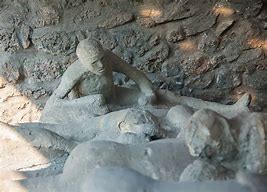 Image result for Pompeii Plaster Casts