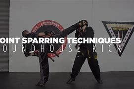 Image result for Point Sparring