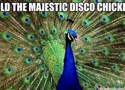 Image result for Greek Peacock Meme