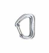 Image result for Wire Gate Carabiner