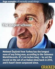 Image result for Mehmet Longest Nose