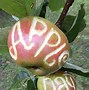 Image result for Apple Day Britain