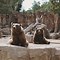 Image result for Zoo Buildings