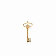 Image result for Big Key and Small Lock