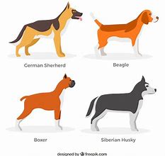Image result for Dog Profile Template