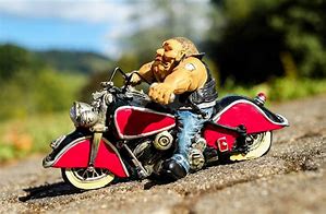 Image result for +Biker Borke