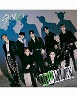 Image result for Stray Kids Vinyl Record From Amazon for Record Player