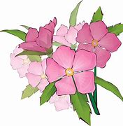 Image result for Free Clip Art Summer Flowers