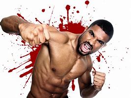 Image result for MMA Fighter PNG