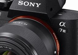 Image result for Sony A7iii Body