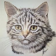 Image result for Cats Pencil Drawings Small