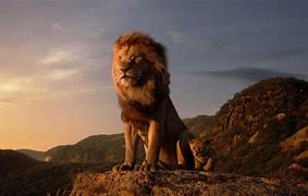Image result for HD Lion Wallpaper 4K