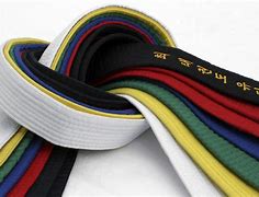 Image result for Karate Belts