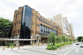 Image result for University of Tokyo Hospital Cranes