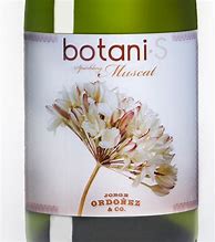 Image result for Jorge Ordonez Co Muscat Dry Botani