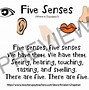 Image result for Five Senses Word Wall