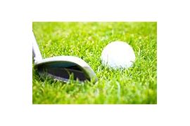 Image result for Golf Fun