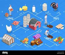 Image result for Local Products Background