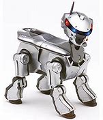 Image result for Aibo 220