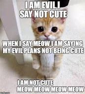 Image result for Cute Evil Cat Memes