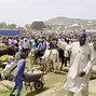 Image result for Cattle Market Areas in Kenya