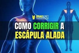 Image result for se�alada