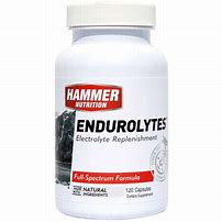 Hammer Nutrition Endurolyte için resim sonucu