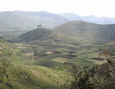 Image result for Rwanda Agriculture