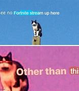 Image result for Cat Live Stream Food Dispender Meme