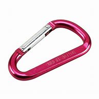 Image result for Large Snap Hook Carabiners