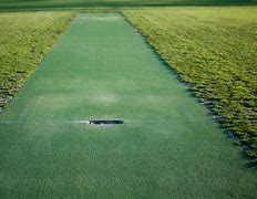 Image result for Cricket Mid Wicket