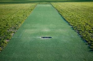 Image result for Wicket Cricket Texture