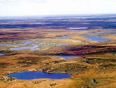 Image result for Serbian Tundra