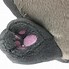 Image result for Cat On Cupcake Bed