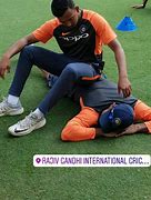 Image result for Cricket Standing On Two Legs in Dapper Attire