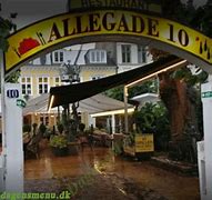 Image result for allegadeea