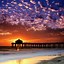 Image result for Tropical Beach Aesthetic Wallpaper