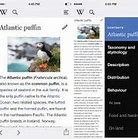 Image result for IOS 6 wikipedia