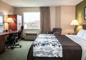 Image result for Pet Friendly Hotels in Allentown PA