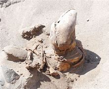 Image result for Atacama Desert Mummies