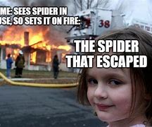 Image result for Spider Meme Burning House