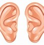Image result for Bat Ears Human Hearing Aids