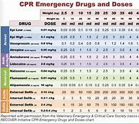 Image result for Recover CPR Animal
