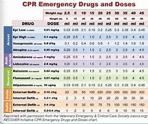 Image result for Recover CPR Vet