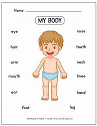 Image result for Kids Body Parts Worksheet